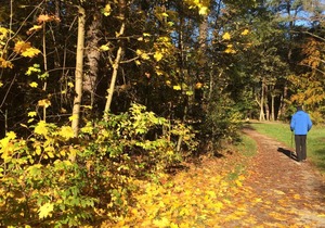 37 m² Apartment ∙ 1 bedroom ∙ 2 guests