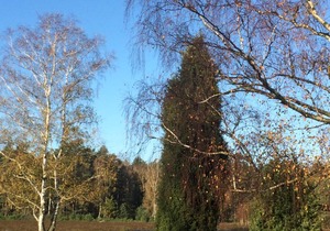 37 m² Apartment ∙ 1 bedroom ∙ 2 guests