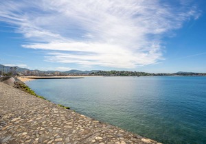 39 m² Apartment ∙ 1 bedroom ∙ 4 guests