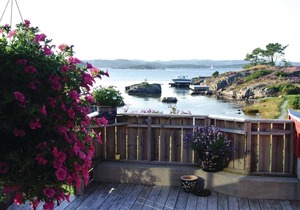 4 bedroom accommodation in Flekkerøy