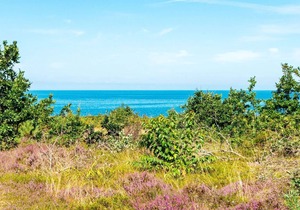 4 star holiday home in Allingåbro