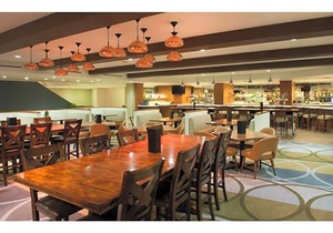4-Star Hotel ∙ DoubleTree by Hilton Hotel Bloomington - Minneapolis South