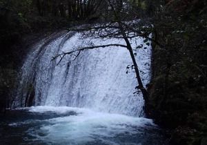 42 m² Apartment ∙ 1 bedroom ∙ 4 guests