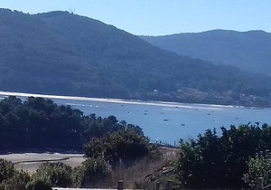 42 m² Apartment ∙ 1 bedroom ∙ 4 guests