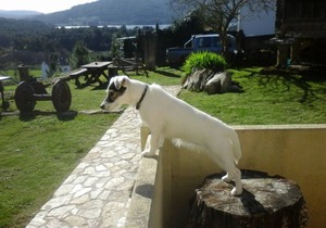 42 m² Apartment ∙ 1 bedroom ∙ 4 guests