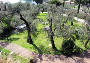 45 m² Apartment ∙ 1 bedroom ∙ 4 guests