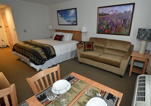 47 m² Studio flat ∙ 1 bedroom ∙ 4 guests