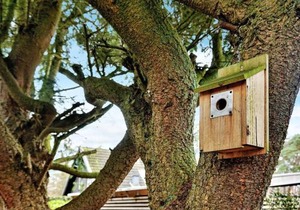 5 person holiday home in TRELLEBORG