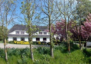 50 m² Apartment ∙ 2 bedrooms ∙ 4 guests