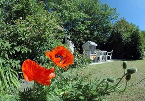 50 m² Apartment ∙ 2 bedrooms ∙ 4 guests