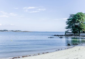 50 m² Apartment ∙ 1 bedroom ∙ 4 guests