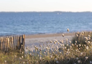 50 m² Apartment ∙ 1 bedroom ∙ 4 guests