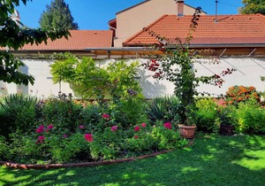 50 m² Apartment ∙ 1 bedroom ∙ 4 guests