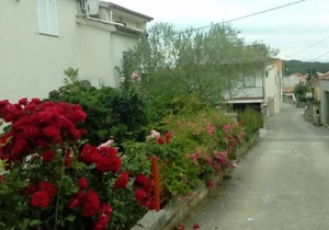 50 m² Apartment ∙ 1 bedroom ∙ 4 guests