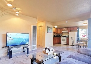 510D 1-BR Apartment near Napa, Six Flags & Freeway