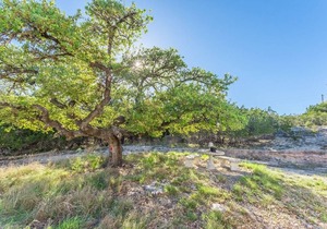 54 m² Cabin ∙ 1 bedroom ∙ 2 guests