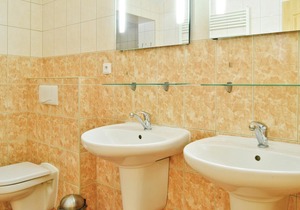 6 bedroom accommodation in Albrechtice