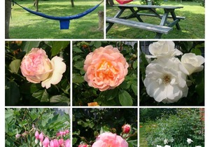 60 m² Apartment ∙ 2 bedrooms ∙ 5 guests