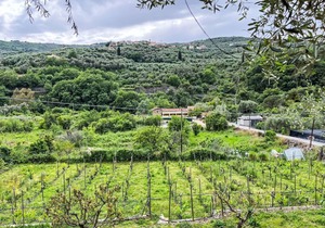 80 m² Apartment ∙ 2 bedrooms ∙ 5 guests