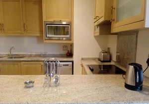 801 Michelangelo Towers