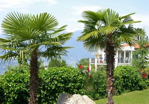82 m² Apartment ∙ 2 bedrooms ∙ 4 guests