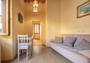 A beautiful apartment a stone's throw from Piazza Pitti by Mmega
