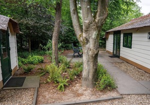 A cozy farmhouse-style cottage in a wooded area with plenty of privacy. Want to get away from it all and enjoy nature? This is possible in this comfortable 4-person accommodation at the Heivlinder near the Speulder Forest and the moors of Ermelo!