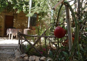 A dream vacation in Jerusalem