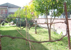 Affittacamere Mariada Appartamento B/1