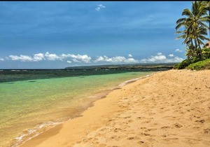 Airy 1d/1ba Wahiawa Apartment