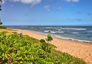 Airy 1d/1ba Wahiawa Apartment