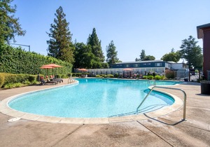 Airy Campbell 1BR w/Gym, Pool & Hot Tub, walk to WF & TJ, by Blueground