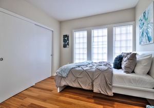 AL3: Dog-friendly 1/1 Near SCU, DT San Jose, SAP