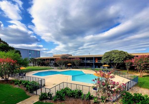 All Inclusive Studio that can sleep up to 4 people! Pool, Gym & Laundry onsite.