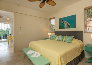 Allamanda 2 - 1 bedroom suite at Seagrape Vista