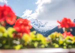 Alpenblick Nr 5