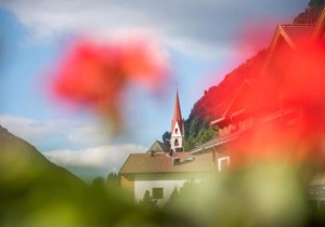 Alpenblick Nr 8
