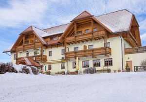 Alpengasthof Moser - double room