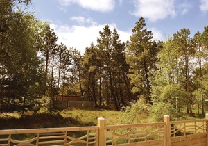 Amazing home in Rømø with kitchen