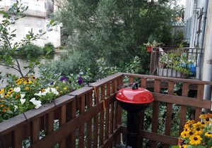 Ancient, Modern and Welcoming House In Quillan Centre