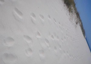 Apartamentos Sardiñeiro -Finisterre .