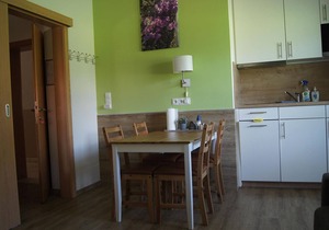 Apartment, shower, toilet, balcony-4 pers - The dovecote - apartment
