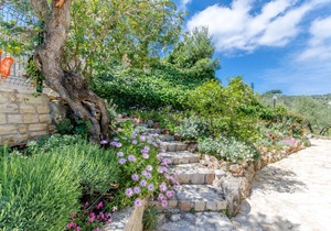 Apartments Drazen (59221-A6) - Stomorska - island Solta