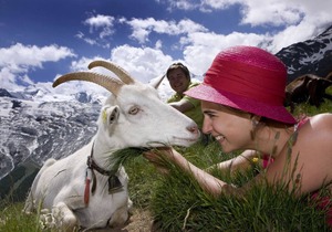 Apartment ∙ 2 bedrooms ∙ 4 guests