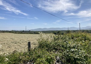 Apartment ∙ 2 bedrooms ∙ 4 guests