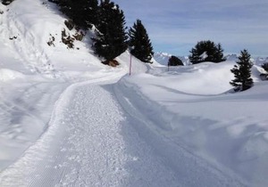 Apartment Abendrot 1- Stock Süd-West by Interhome