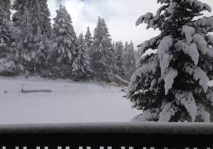 Apartment Abendrot 1. Stock in Riederalp - 6 persons, 3 bedrooms