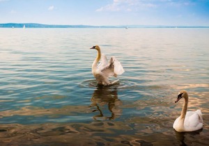 Apartment- Andrew 2 - One Bedroom Apartment, Sleeps 5