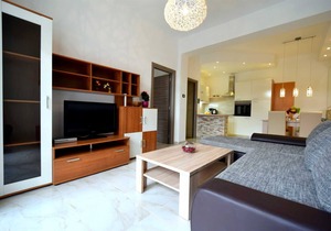 Apartment Antonia 3 veći prizemlje