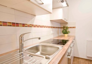 Apartment Attersee - Haslbauer - family Resch